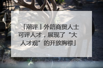 潮评丨外籍商贸人士可评人才，展现了“大人才观”的开放胸襟